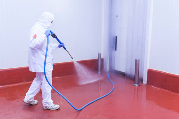 Best House Exterior Washing  in Birchwood Lakes, PA